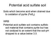 Potential acid sulfate soil