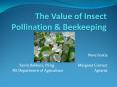 The Value of Insect Pollination PowerPoint PPT Presentation