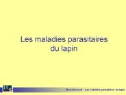 Portent de petites 