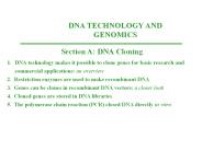Nerve activates contraction