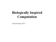 Biologically Inspired Computation