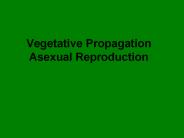 Vegetative Propagation Asexual Reproduction