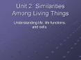 Unit 2: Similarities Among Living Things PowerPoint PPT Presentation