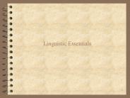 Csci 4152: Statistical Natural Language Procesing