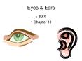 Eyes PowerPoint PPT Presentation