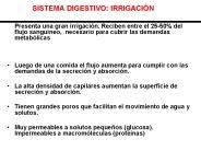 SISTEMA DIGESTIVO: IRRIGACI