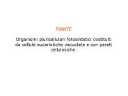 Diapositiva 1