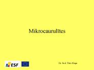 Mikrocaurulites
