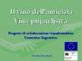 Progetto di collaborazione transfrontaliera  Comenius linguistico PowerPoint PPT Presentation