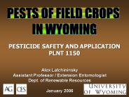 PESTS OF FIELD CROPS