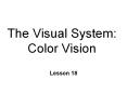 The Visual System: Color Vision PowerPoint PPT Presentation