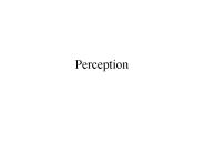 Perception