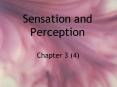 Sensation and Perception PowerPoint PPT Presentation
