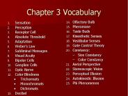 Chapter 3 Vocabulary