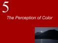 The Perception of Color PowerPoint PPT Presentation