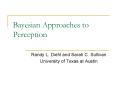 Bayesian Approaches to Perception PowerPoint PPT Presentation