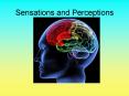 Sensations and Perceptions PowerPoint PPT Presentation