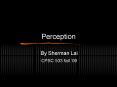 Perception PowerPoint PPT Presentation