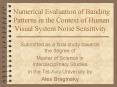 Numerical Evaluation of Banding Patterns in the Context of Human Visual System Noise Sensitivity. PowerPoint PPT Presentation