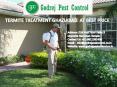 Termite treatment Ghaziabad offered by Godrej Pest Control