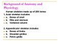 Background of Anatomy and Physiology PowerPoint PPT Presentation
