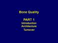 Bone Quality PART 1 Introduction Architecture Turnover PowerPoint PPT Presentation