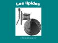 Les lipides PowerPoint PPT Presentation