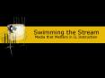 Swimming the Stream PowerPoint PPT Presentation