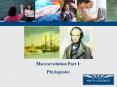 Macroevolution Part I: PowerPoint PPT Presentation