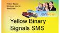 yellow binary signals sms review PowerPoint PPT Presentation