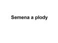 Semena a plody PowerPoint PPT Presentation