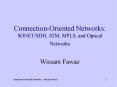 Connection-Oriented Networks: PowerPoint PPT Presentation