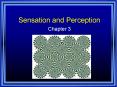 Sensation and Perception PowerPoint PPT Presentation