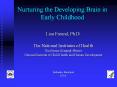 Nurturing the Developing Brain in Early Childhood PowerPoint PPT Presentation