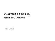 Chapters 5.8 to 5.10 Gene Mutations