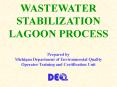 WASTEWATER STABILIZATION LAGOON PROCESS PowerPoint PPT Presentation