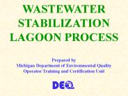 WASTEWATER STABILIZATION LAGOON PROCESS