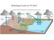 Hydrologic Cycle (in 103 km3)