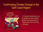 Confronting Climate Change in the Gulf Coast Region