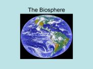 The Biosphere