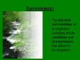 Environment PowerPoint PPT Presentation
