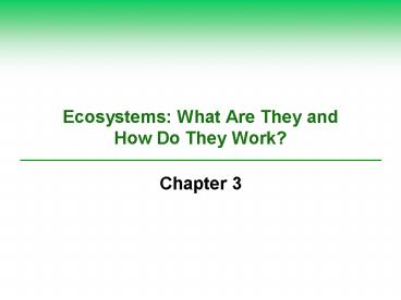 Ecosystems: What Are They and How Do They Work?