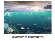 Diversity of ecosystems
