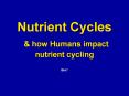 Nutrient Cycles PowerPoint PPT Presentation