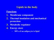 Lipids in the body
