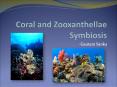 Coral and Zooxanthellae Symbiosis PowerPoint PPT Presentation