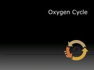 oxygen cycle