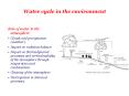 Water cycle in the environment PowerPoint PPT Presentation