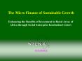 The Micro Finance of Sustainable Growth PowerPoint PPT Presentation