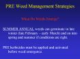 PRE Weed Management Strategies PowerPoint PPT Presentation